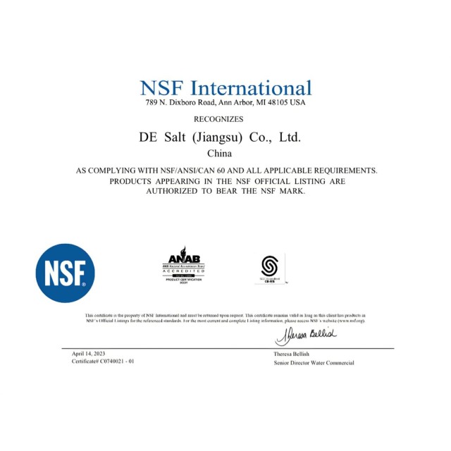 【小江淨水設備】V.G.WATER鹽錠牛皮紙袋 台灣填充包裝 2包免運 FDA SGS NSF檢驗軟化水鹽錠10公斤1包